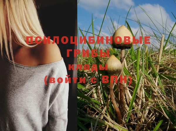 PSILOCYBIN Баксан