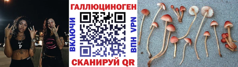 Галлюциногенные грибы Magic Shrooms  Белоярский 