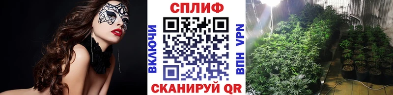 цена наркотик  блэк спрут ССЫЛКА  Шишки марихуана семена  Белоярский 